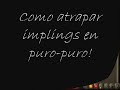 cogiendo implings en puro-puro