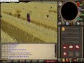 cogiendo implings en puro-puro