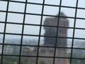 videos de Tower of terror