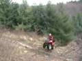 Kingquad and Grizzly Hillclimb