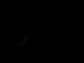 DAVE IN THE DARK