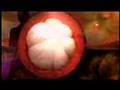 Xango Mangosteen Fruit Juice Dietary Supplement