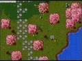 tibia meluna tour