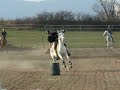 open1 du peillard(bouteilles)