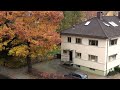 Sony HDR-CX105E  color test