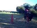 Me and Tino - Jumping Sidesaddle again Me and Tino - Jumping Sidesaddle again
