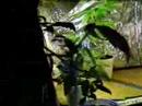 marijuana plants time lapse