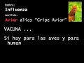 Las caracteristicas de la influenza
