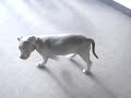 BLUE NOSE PITBULL