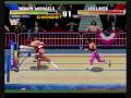 WWF Wrestlemania The Arcade Game