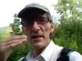 videos de Geist und Funktionalität als Einheit