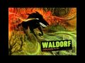 Waldorf Minor Fall Video and Lyrics