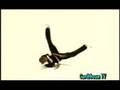 Caribbean-TV-Jamaica