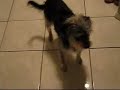 Canon S5is test video