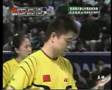 2007 HK Open - XDF - Widianto/Natsir vs Zheng/Gao - (6/8)