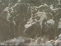 In The Surf