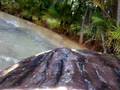 videos de Splash Visao primeira pessoa plaicenter. by johnnY