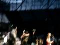 Metro Station Concert-Tell Me What To Do