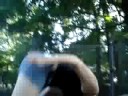 trampoline 3