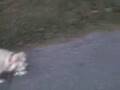 Ginger's NUDE romp in the Hood!!