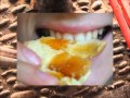 Food.project.MovieFile.wm... View Video