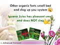 Easy Hydroponics--Organic Iguana Juice Easy Hydroponics--Organic Iguana Juice