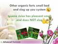 Easy Hydroponics--Organic Iguana Juice