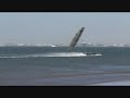 sailrocket    life begins at 40 knots!!!