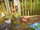 The outcome of lightning VS my house