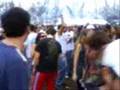 tribe