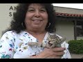 Clovis pet of the week 16-20 April 2007
