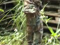 926-music-video-airsoft-game-hk-wargame-corner.html
