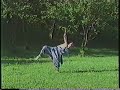 Shaolin Drunken Staff Shaolin Drunken Staff