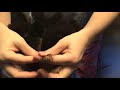 How to do Criss-cross Cornrows Part 1