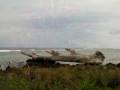 videos de AKR Roatan Honduras