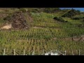 Mosel Tourismus: Weinlese im Ferienland Cochem im September & Oktober