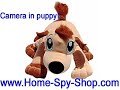 Best Hidden Camera To Spy Anywhere You Need To