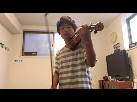 動画
