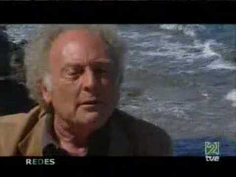 Imagen de previsualización de YouTube