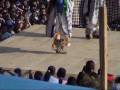 videos de curpites San Mateo 05