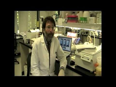 how to isolate protein from e.coli
