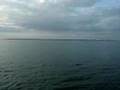Florida Real Estate, Cape Coral, Punta Gorda, Land & Lots