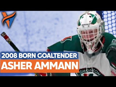 Asher Ammann - SSAC Bulldogs U17AAA (AEHL) - Goaltender (2008)