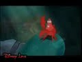Let Ariel Go Let Ariel Go