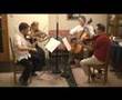 Mozart K.465 - 'Dissonance' - Lyra