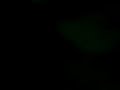 mono cumbiero :   borracho 