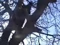 Grobni??ina zvoni 2007. - Munski zvon?ari Grobni??ina zvoni 2007. - Munski zvon?ari