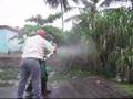 Operativo de Fumigacion en Contra del Mosquito del Dengue