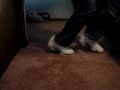 shuffe-and-heeltoe.html