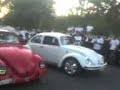 LOS BOCHOS MAS VELOCES DEL MUNDO